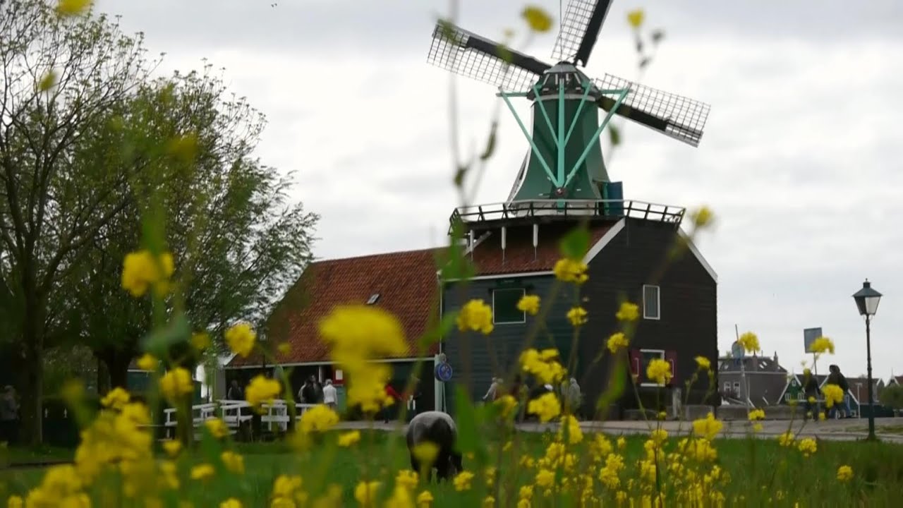 Zaanse Schans windmills, Moulins à vent, Holland