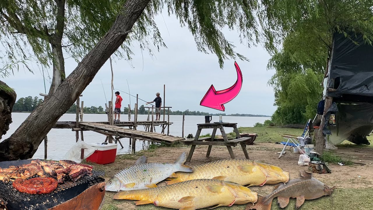 VOLVIMOS POR LA REVANCHA / CADA VEZ MAS SORPENDIDO! PESCA Y COCINA EN ZARATE/ PESCANDO EN LA ISLA!