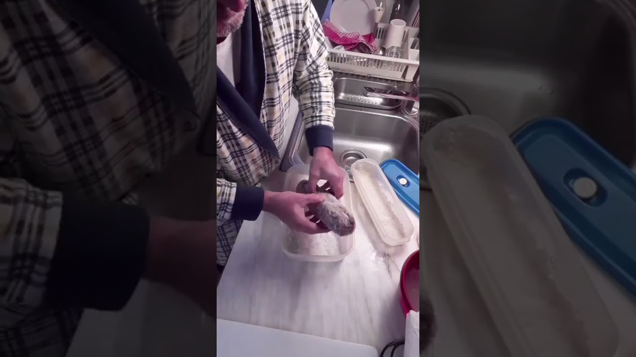 CURA DE CARNE EM SAL, NO FRIGORÍFICO. (Lombinho)