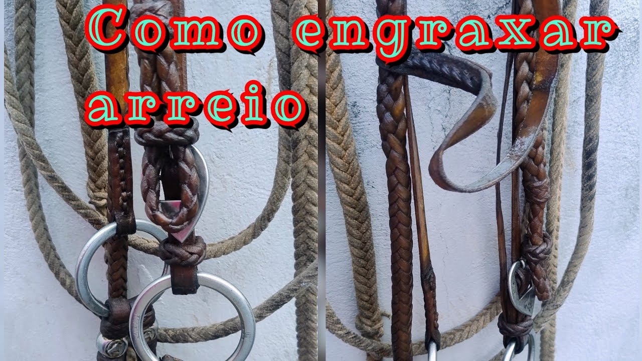 Como engraxar couro , arreio e traia em geral .