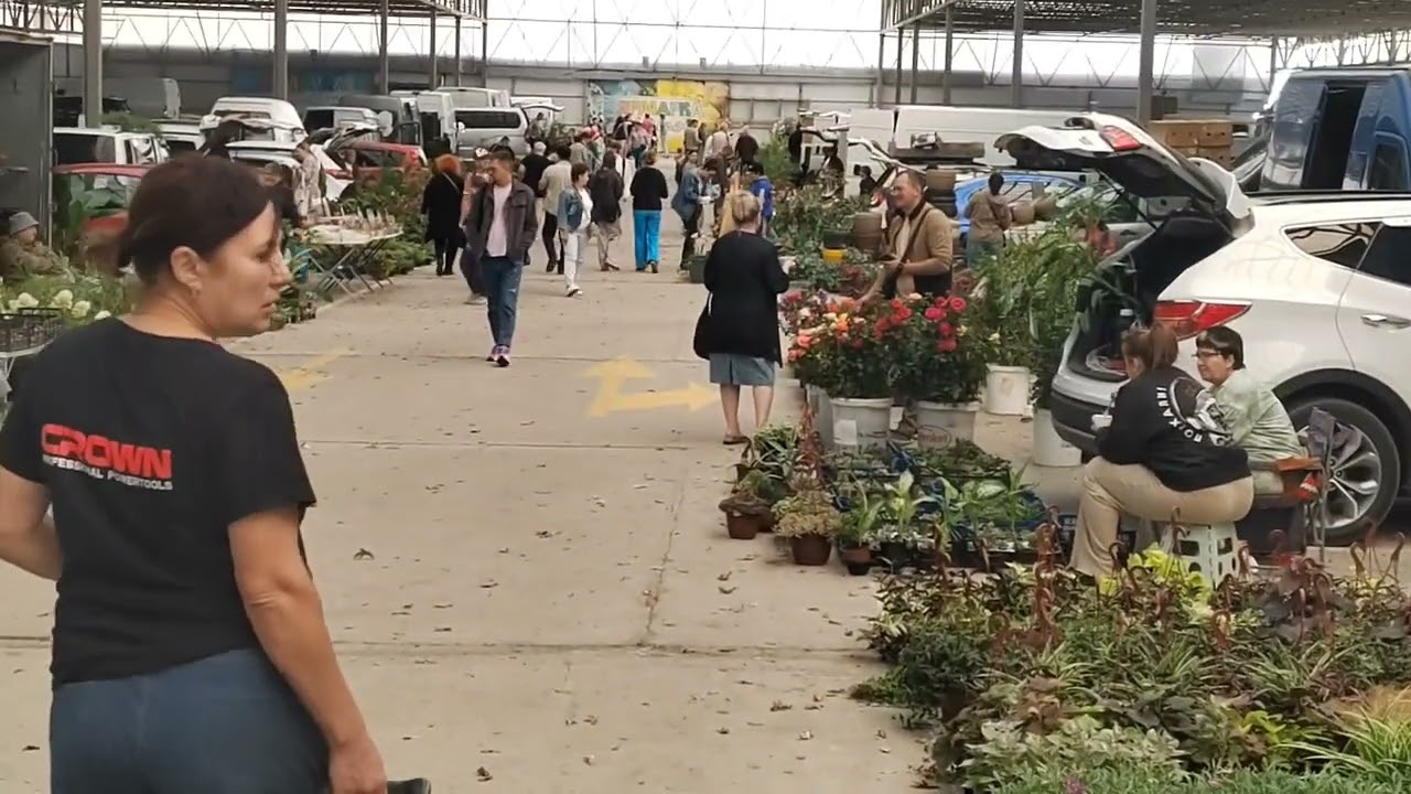 Цветочный рынок Краснодар 14 сентября 2025 г