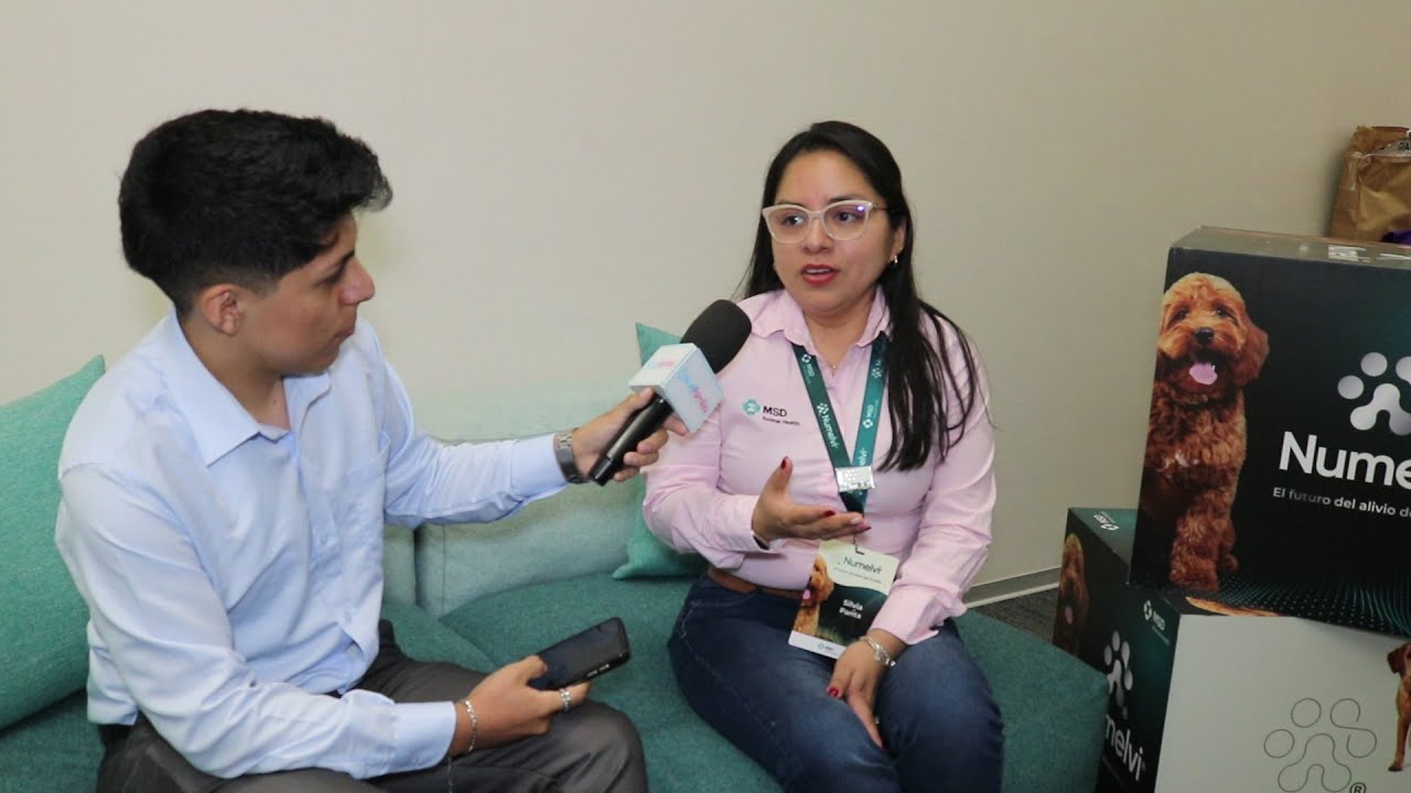 Nuevo tratamiento para la dermatitis alérgica en perros, qué cambia con Numelvi