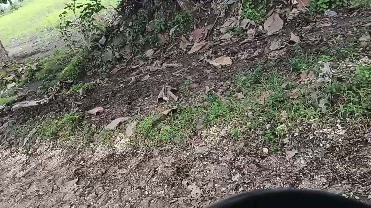 Dijalan adella