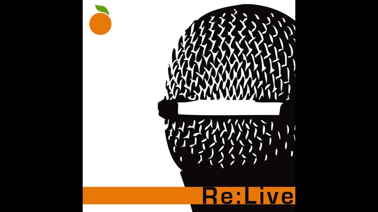 The Wrens - Live at Maxwell's, Hoboken, NJ, 1-24-04