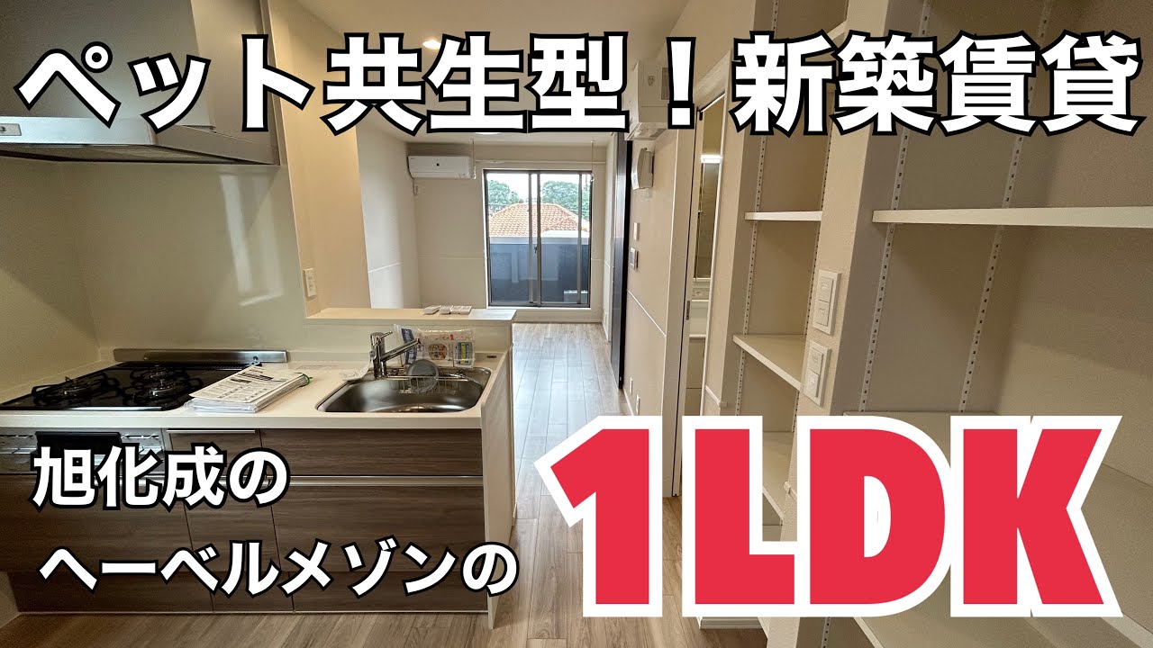 【へーベルメゾン】ペット共生！新築の1LDK この間取りが理想なのか！？