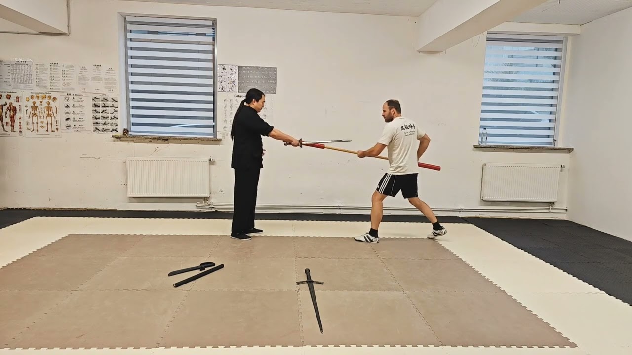 Taiji Jian Anwendung: Dian 点剑