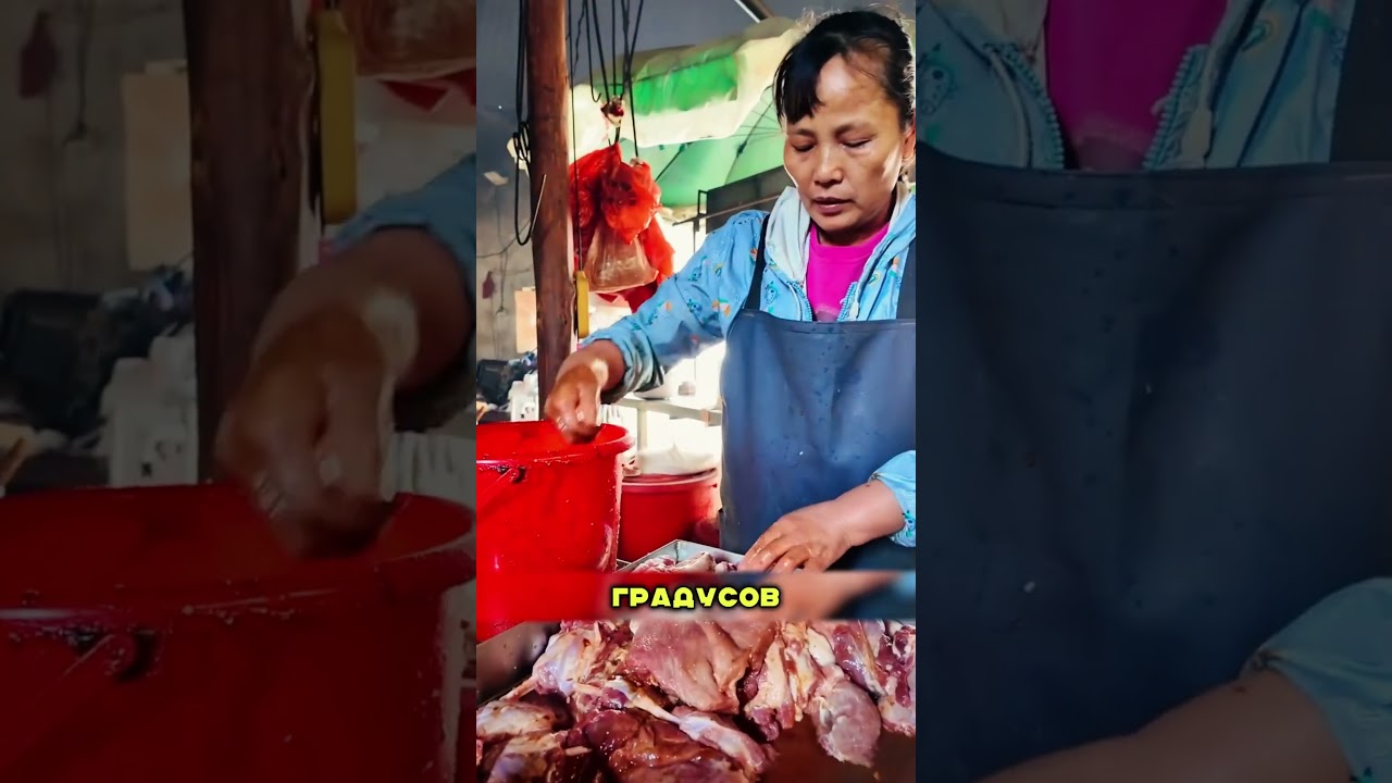 МЯСО ИЗ ЗЕМЛИ ЗА €500 🔥🐖