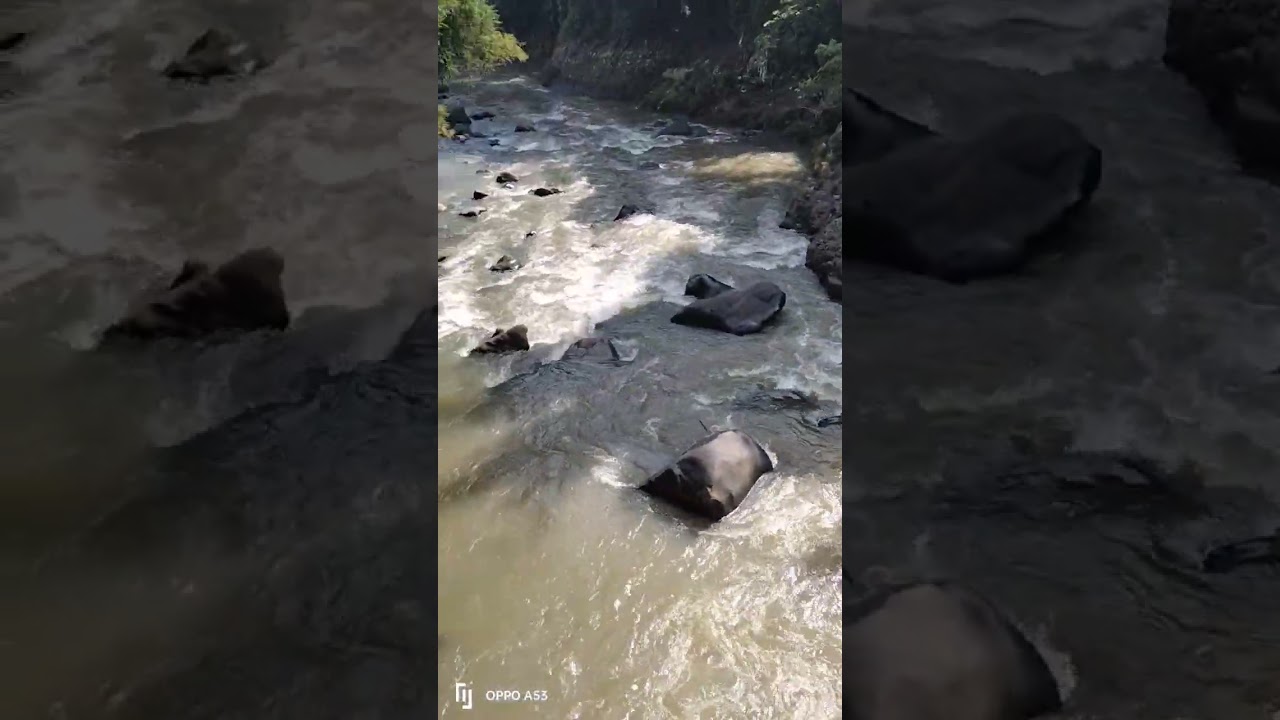 mentas Sasak asa palaur