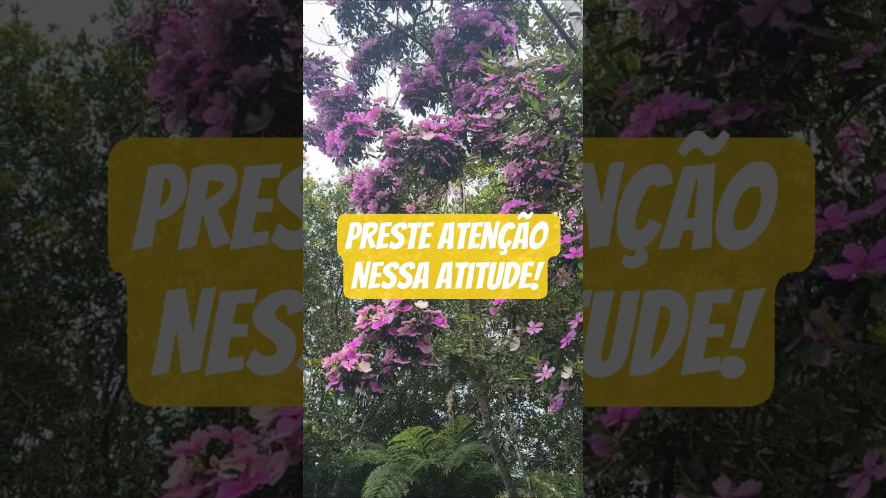 Sua oração tem poder em Cristo Jesus! 