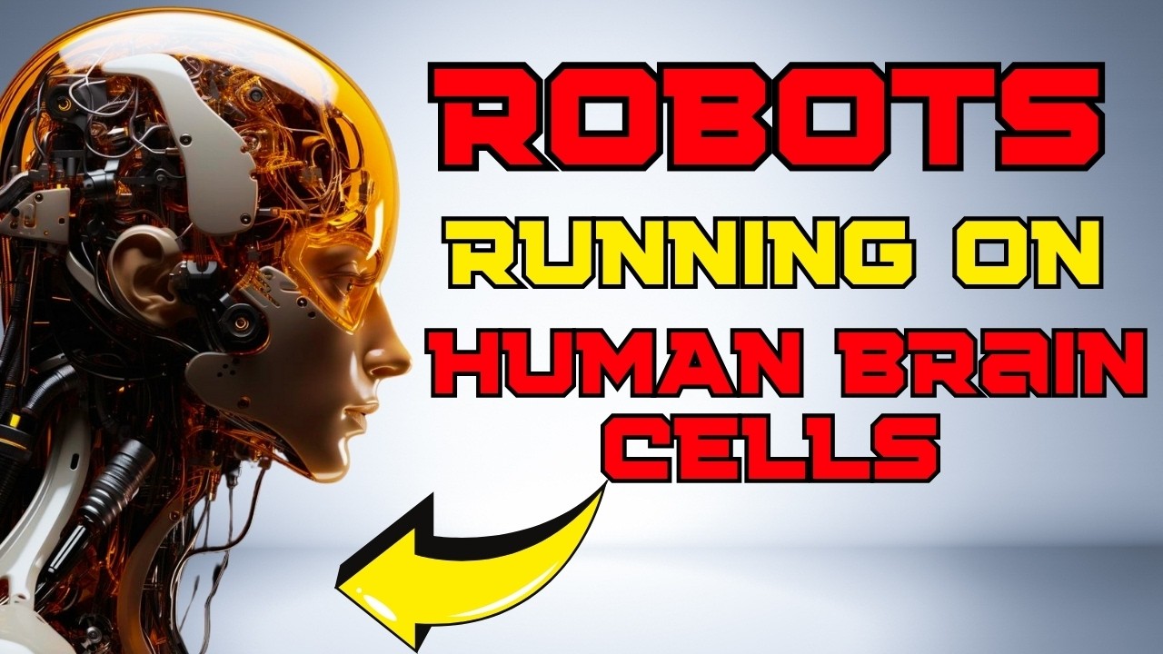 A Living AI Scientists Build Computer With Human Brain Cells!