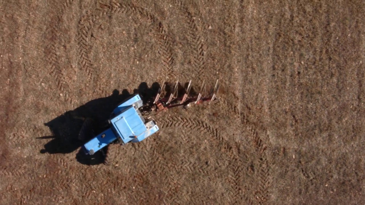 EBRO 8135 Pulling tractor