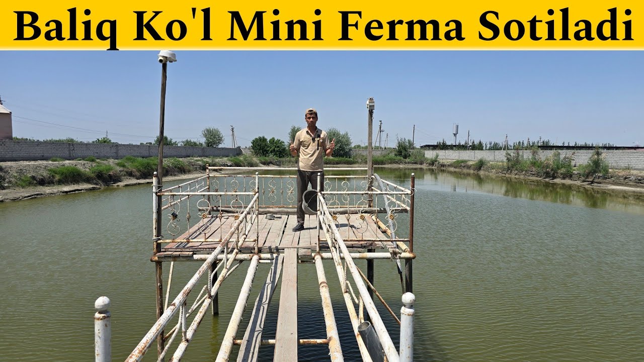 Baliq Ko'l Va Mini Farma Sotiladi +998337667714+99833055229
