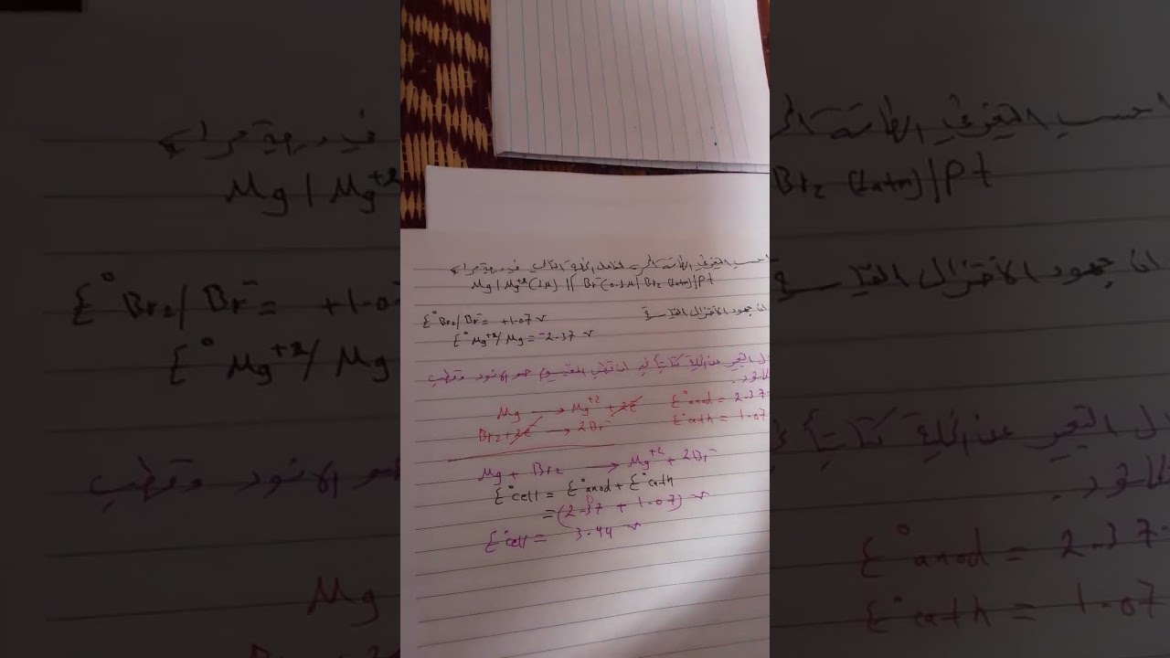 ١٣ شباط ٢٠٢٦