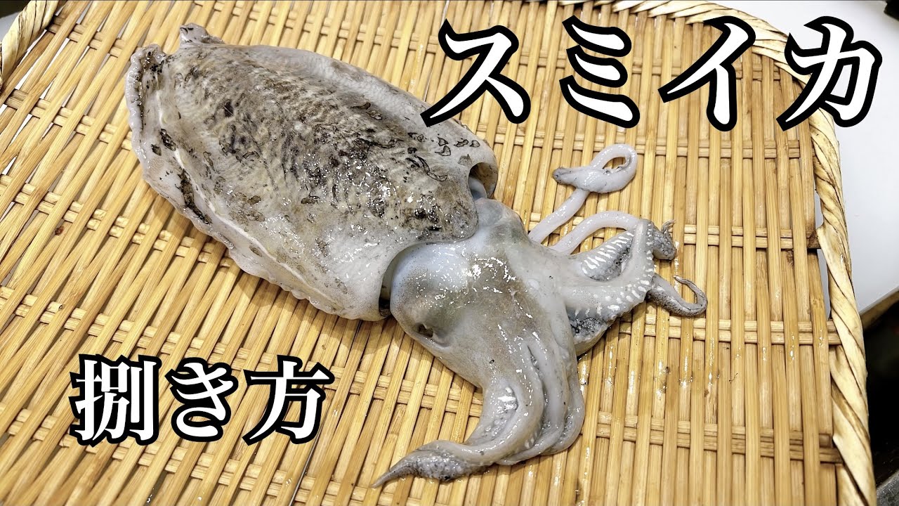 スミイカ（甲イカ）　捌き方