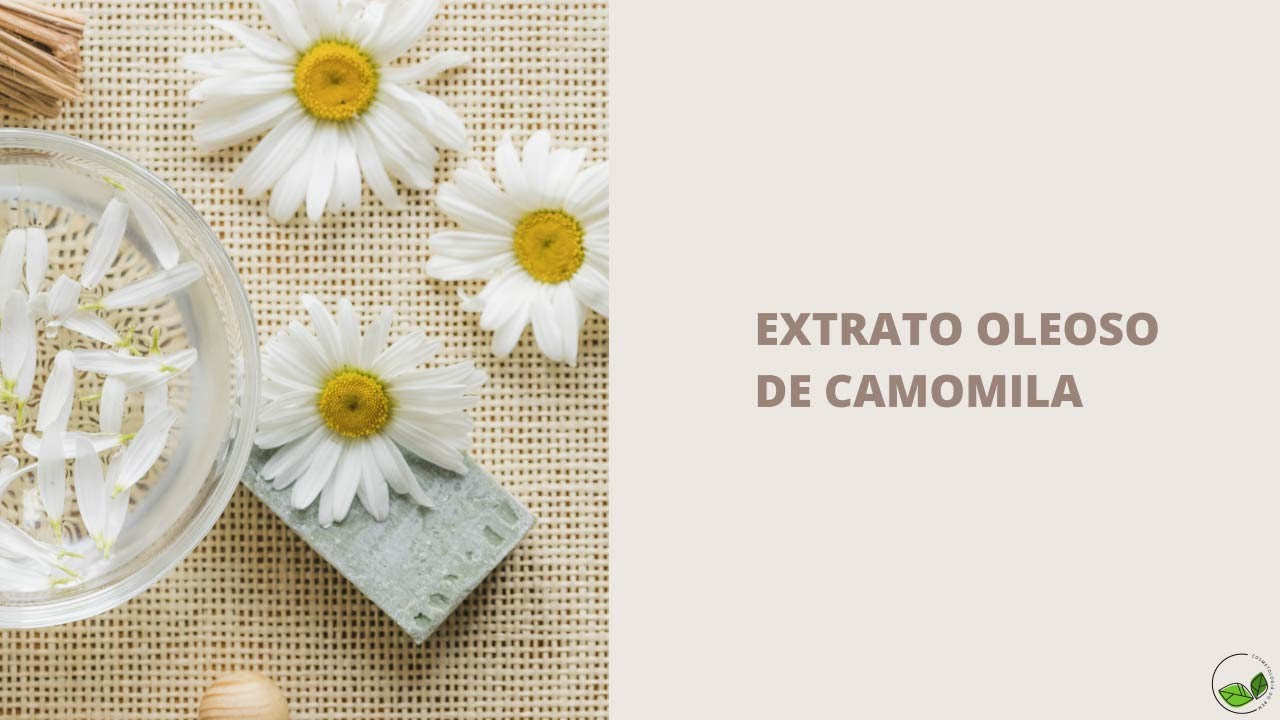 Extrato oleoso de camomila, quer mais!?