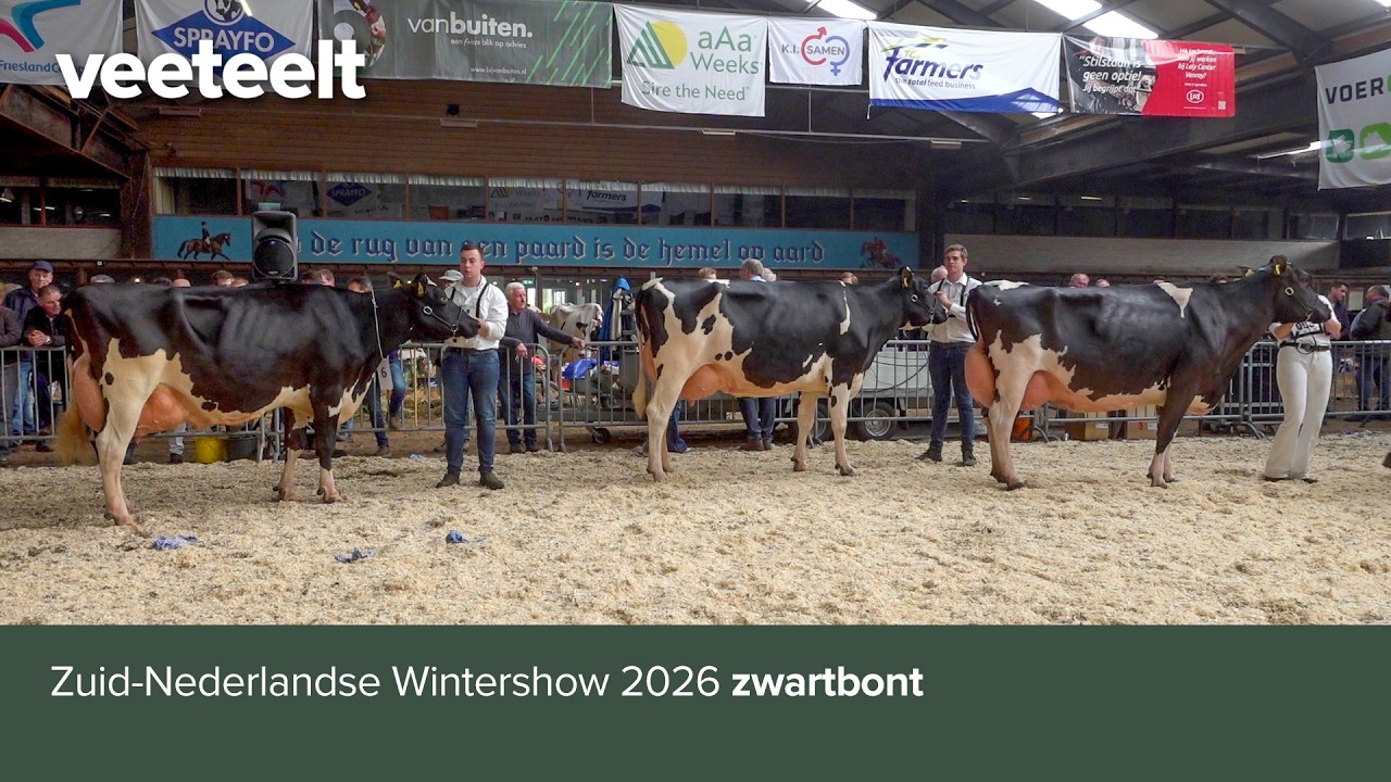 Zuid-Nederlandse wintershow 2026 zwartbont