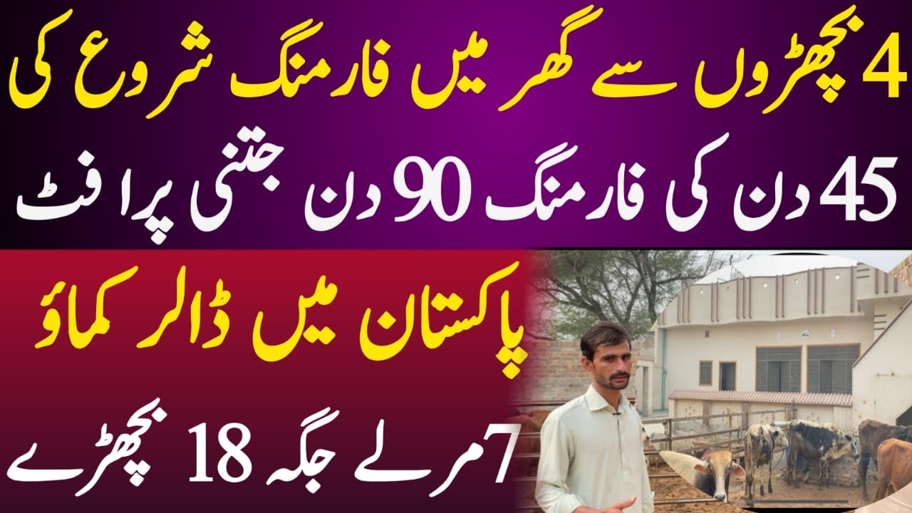 Small bachra farming in pakistan