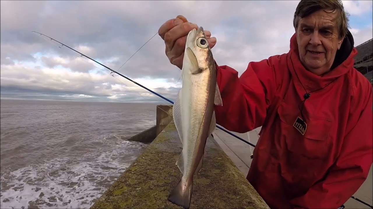 Gynn Wall, Blackpool. 01/12/24