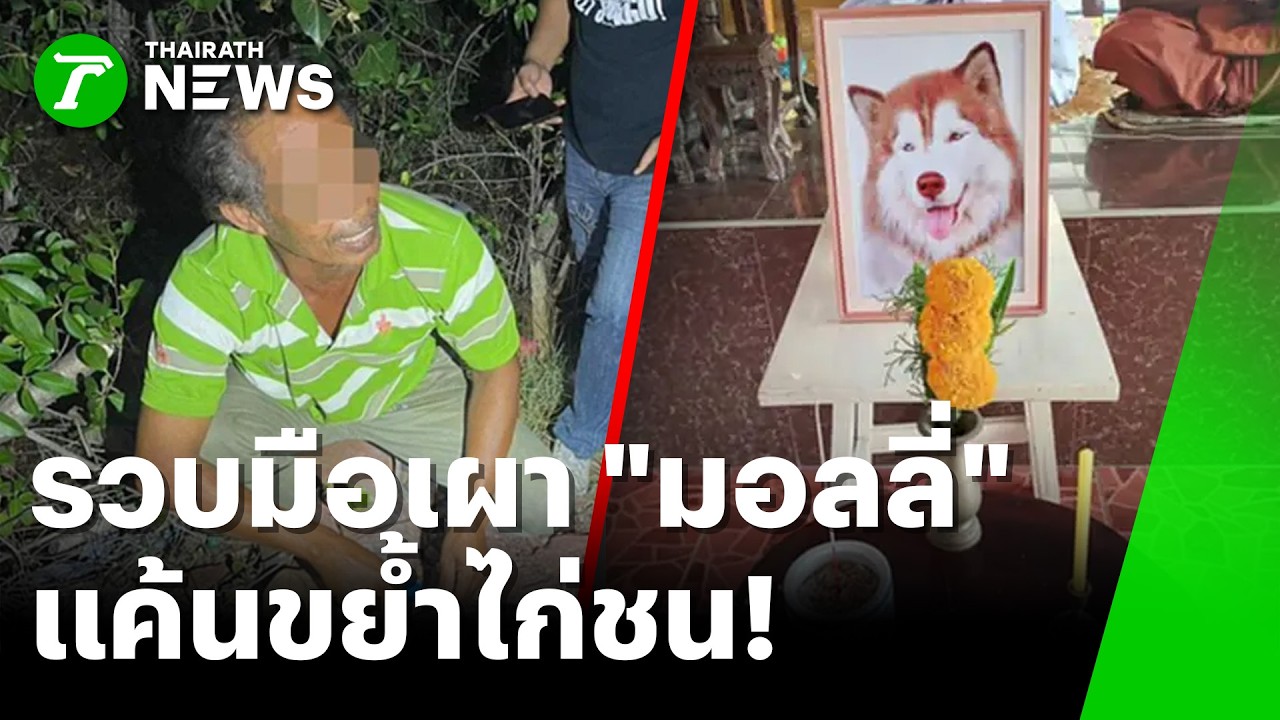 รวบมือเผา 