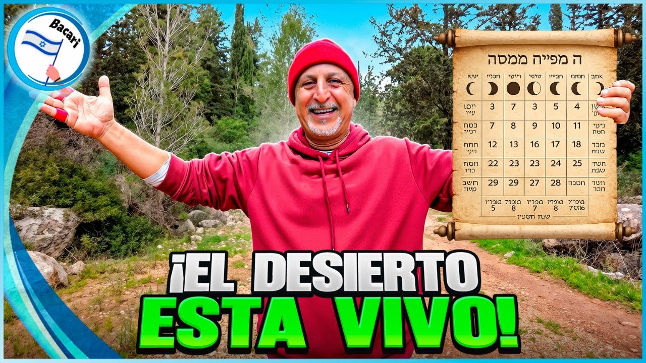 El Calendario de Israel Que Convirtió El Desierto En Bosque