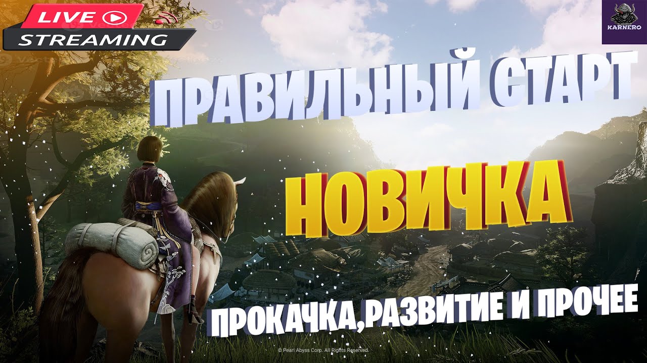 BDO ☛ ПРАВИЛЬНЫЙ СТАРТ ДЛЯ НОВИЧКА☛ Начало #1