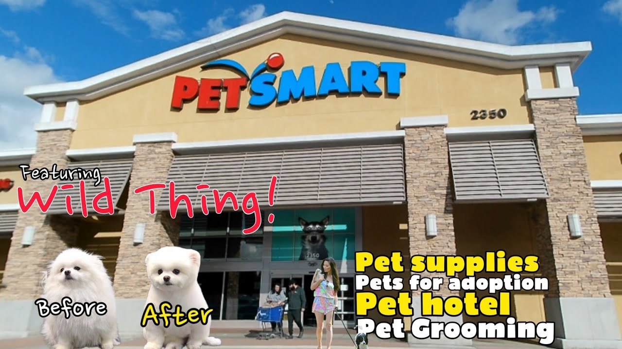 PETSMART WEST COVINA Walkthrough Tour
