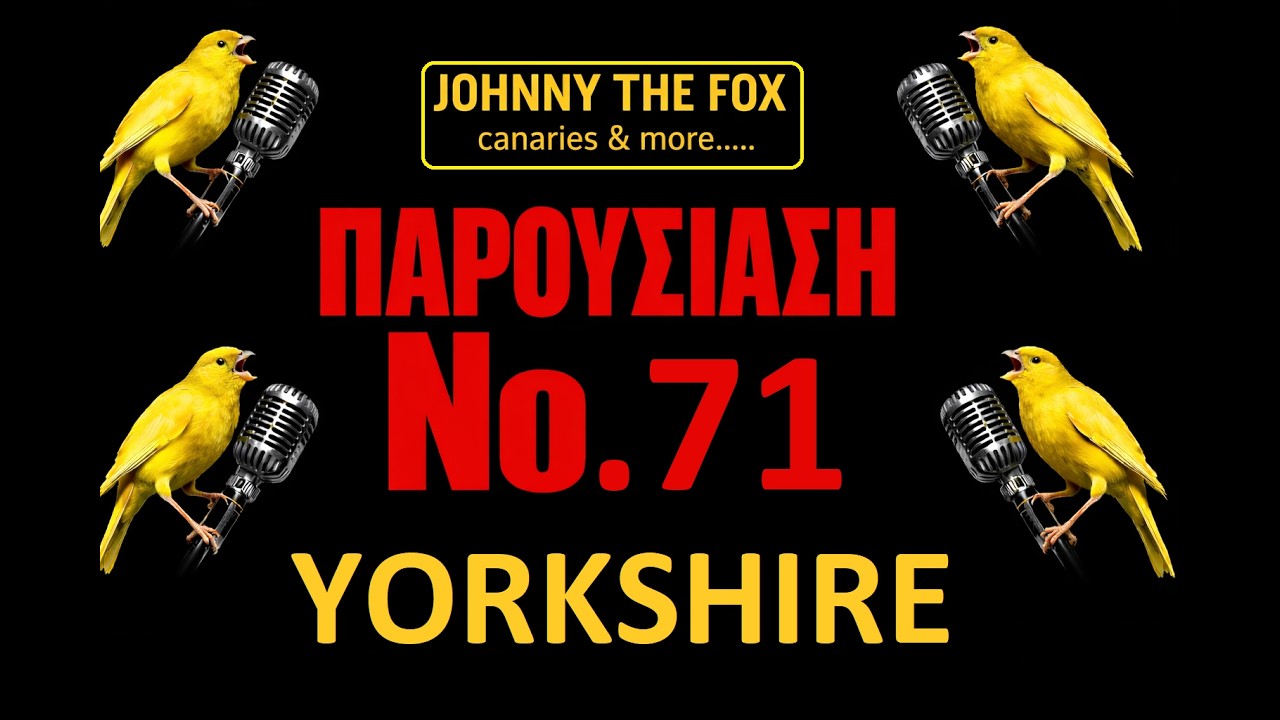 YORKSHIRE.......ΠΑΡΟΥΣΙΑΣΗ Νο 71