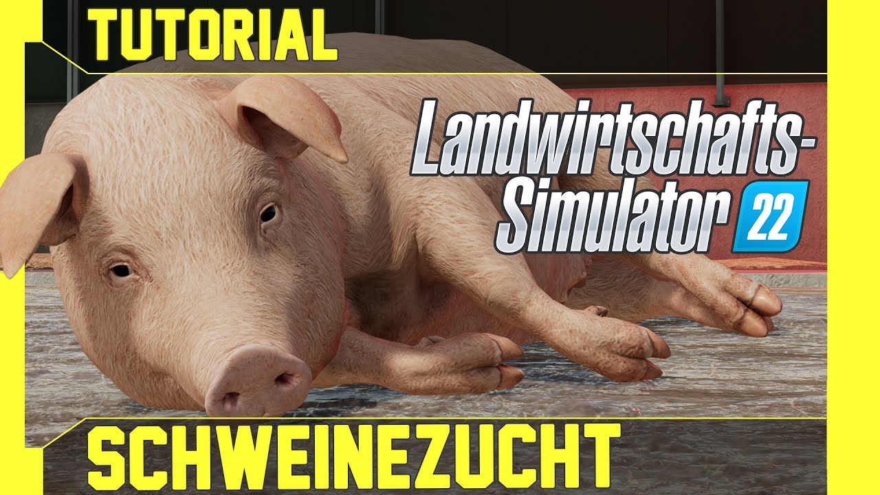 LS 22 Schweine Tutorial: Kurz, leicht und verständlich erklärt