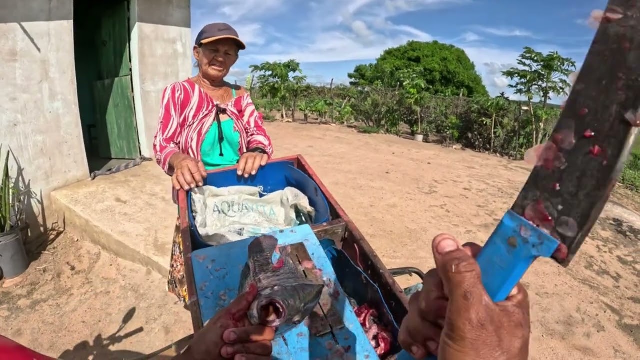 Essa foi a reação dela ao ganhar 200 reais em peixe 