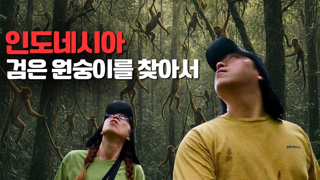 멸종 위기의 검은 원숭이를 찾아 야생 숲으로 들어갔습니다 [🇮🇩인도네시아 #15]