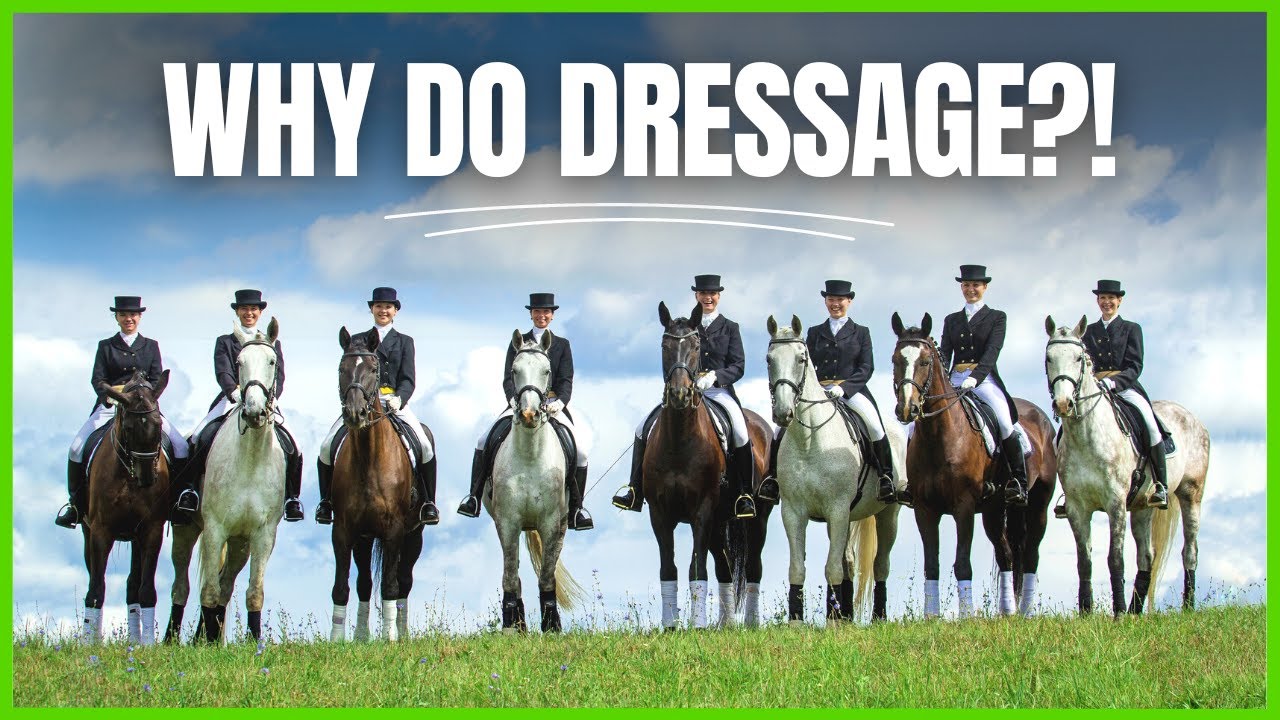 What's THE POINT OF DRESSAGE? From The Complete Online Dressage Course | How To Dressage