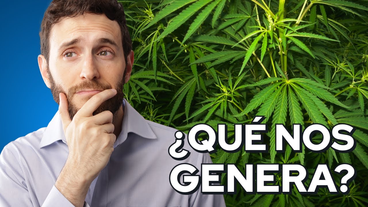 Qu&eacute; genera el CANNABIS en nuestro CUERPO