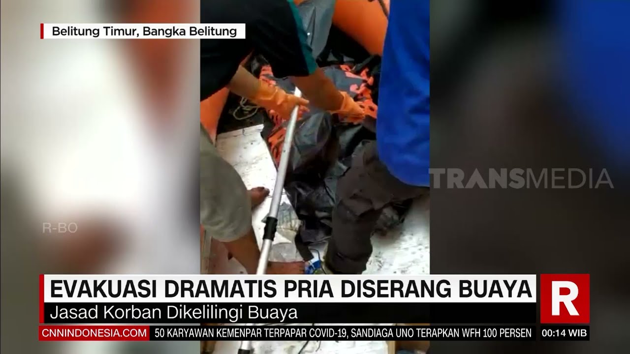 Evakuasi Dramatis Pria Diserang Buaya | REDAKSI MALAM (22/06/21)