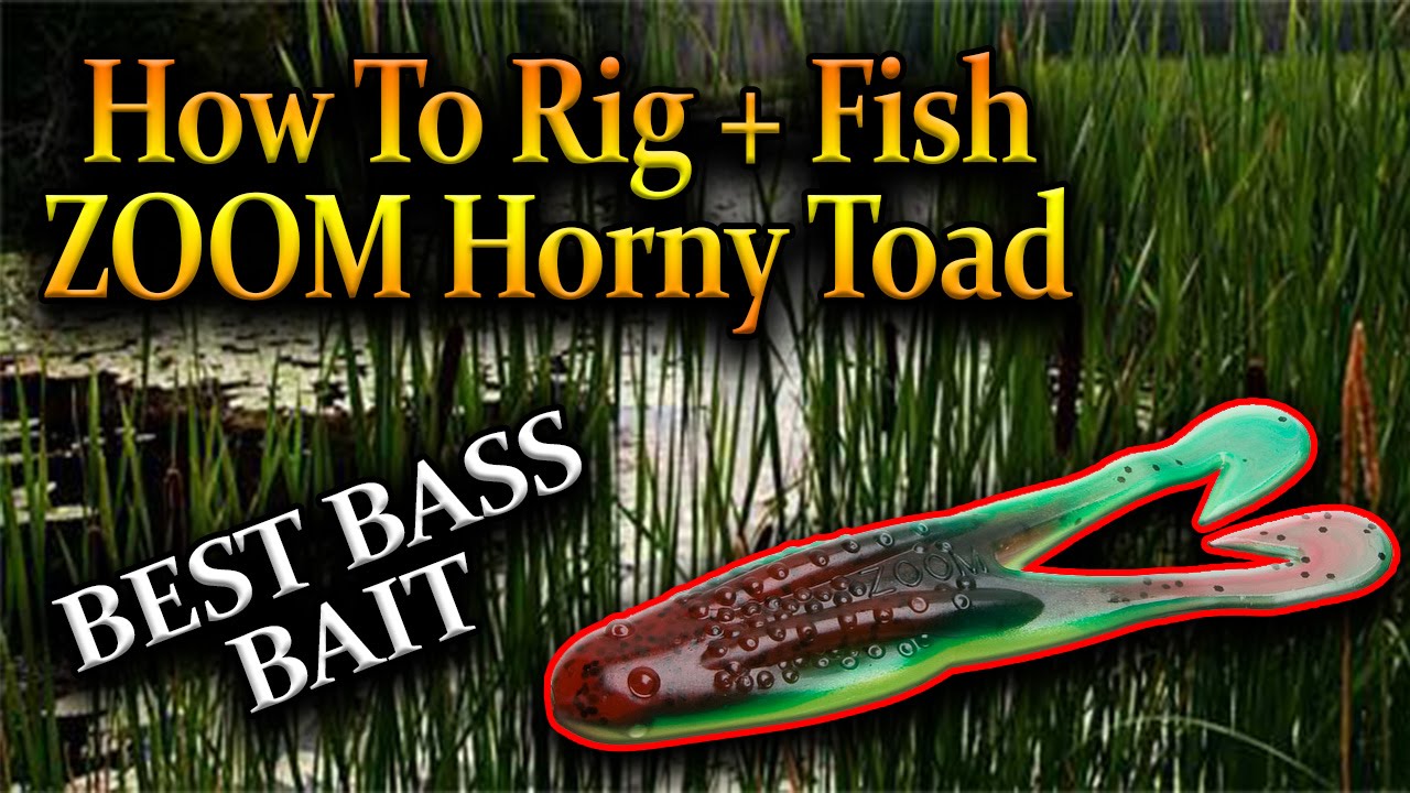 ZOOM HORNY TOAD WILL CATCH MONSTER BASS! HOW TO RIG, FISH ZOOM HORNY TOAD!