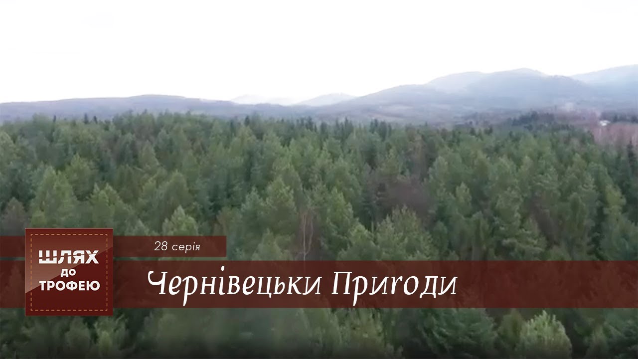 Чернівецьки пригоди. Полювання на Козулю та Кабана | Шлях до Трофею №28