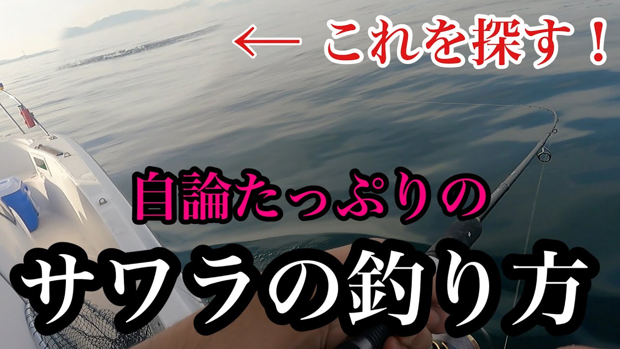 参考にならないサワラの釣り方