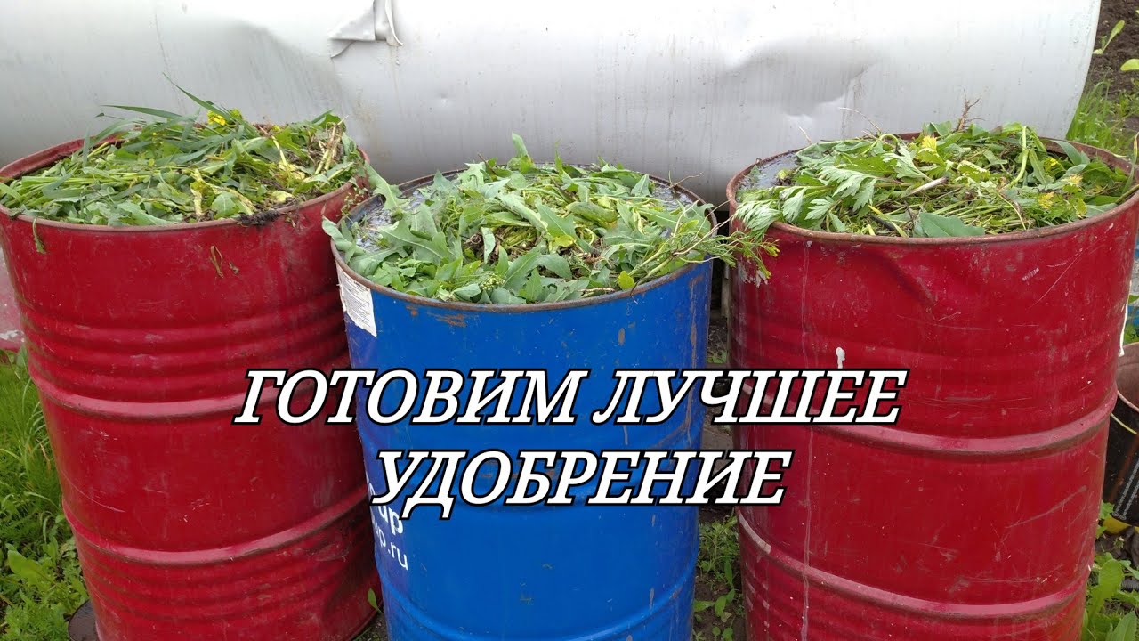 ГОТОВИМ ЛУЧШЕЕ УДОБРЕНИЕ