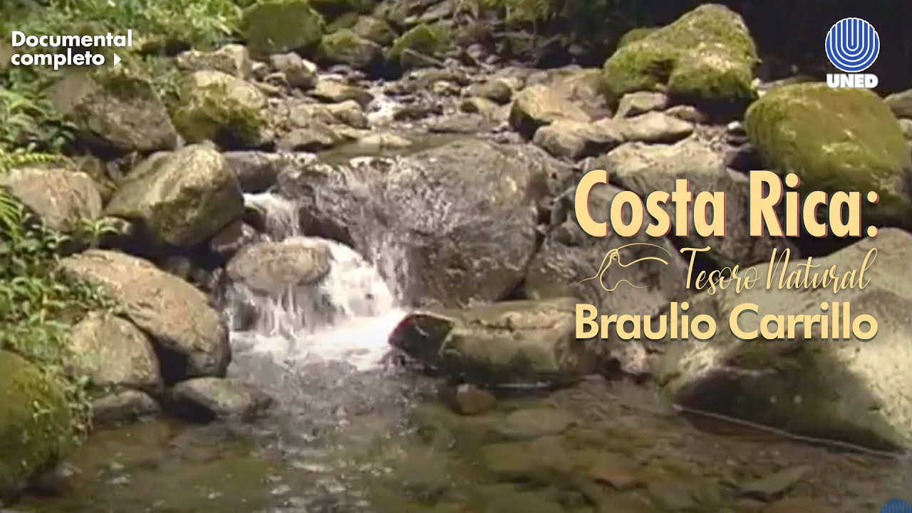 Tesoro Natural: Parque Nacional Braulio Carrillo