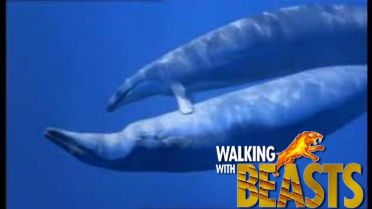 Basilosaurus Courtship, Walking With Beasts 2001