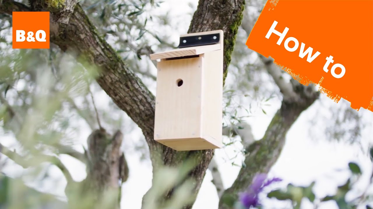 How to build a bird box
