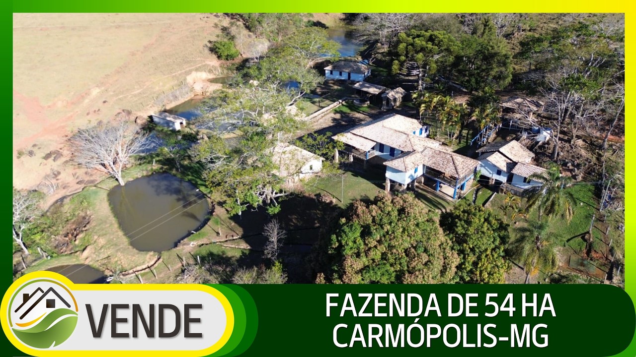 FAZENDA DE 54 HA EM MINAS GERAIS
