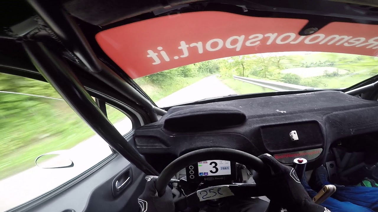 PURE SOUND Rally Driver POV - Peugeot 208 R2 - GoPro HERO 5