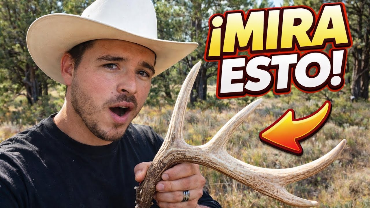 POR ESTO LOS VENADOS TIRAN SUS CUERNOS 🦌