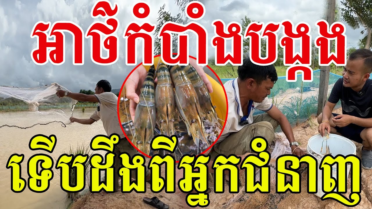ទើបដឹងថ្ងៃនេះ អ្នកជំនាញប្រាប់ពីចំណុចពិសេសរបស់សត្វបង្កង