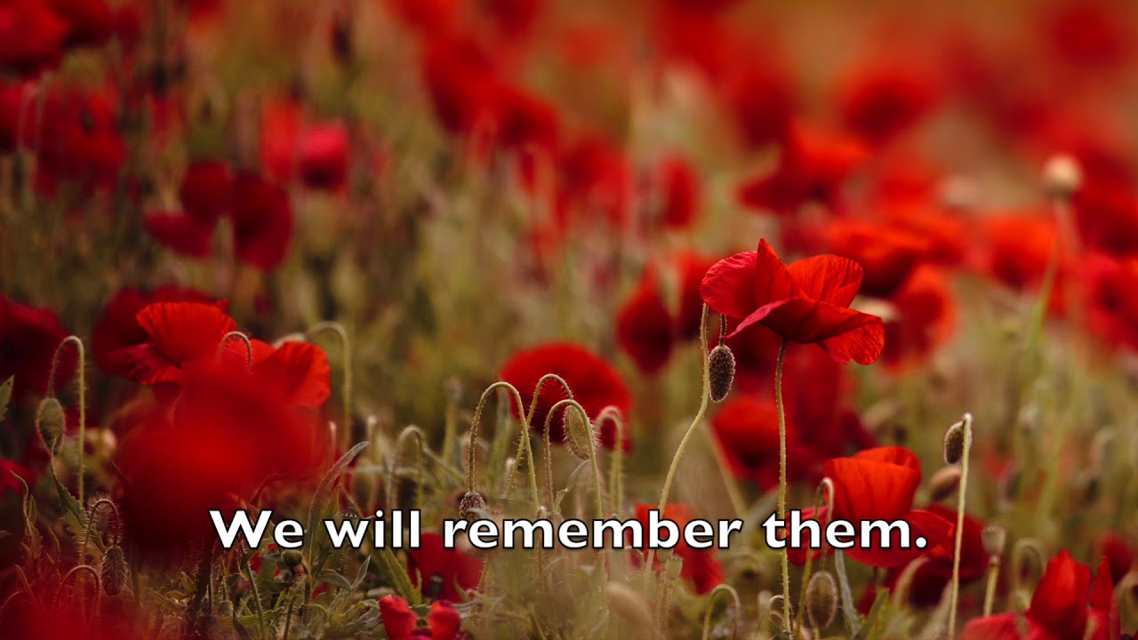We will remember them - David Ogden