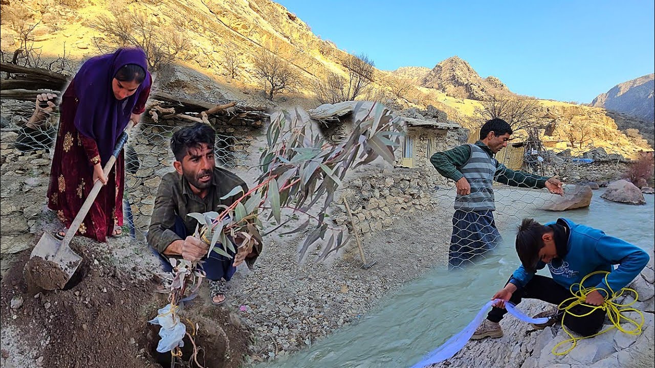 The dangerous path to the heart of the mountain 😮‍🔥⛰️ | Planting trees and catching fish 🎣🌳