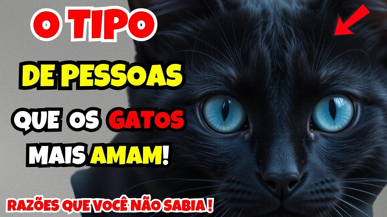 Que tipo de pessoas os gatos mais amam?