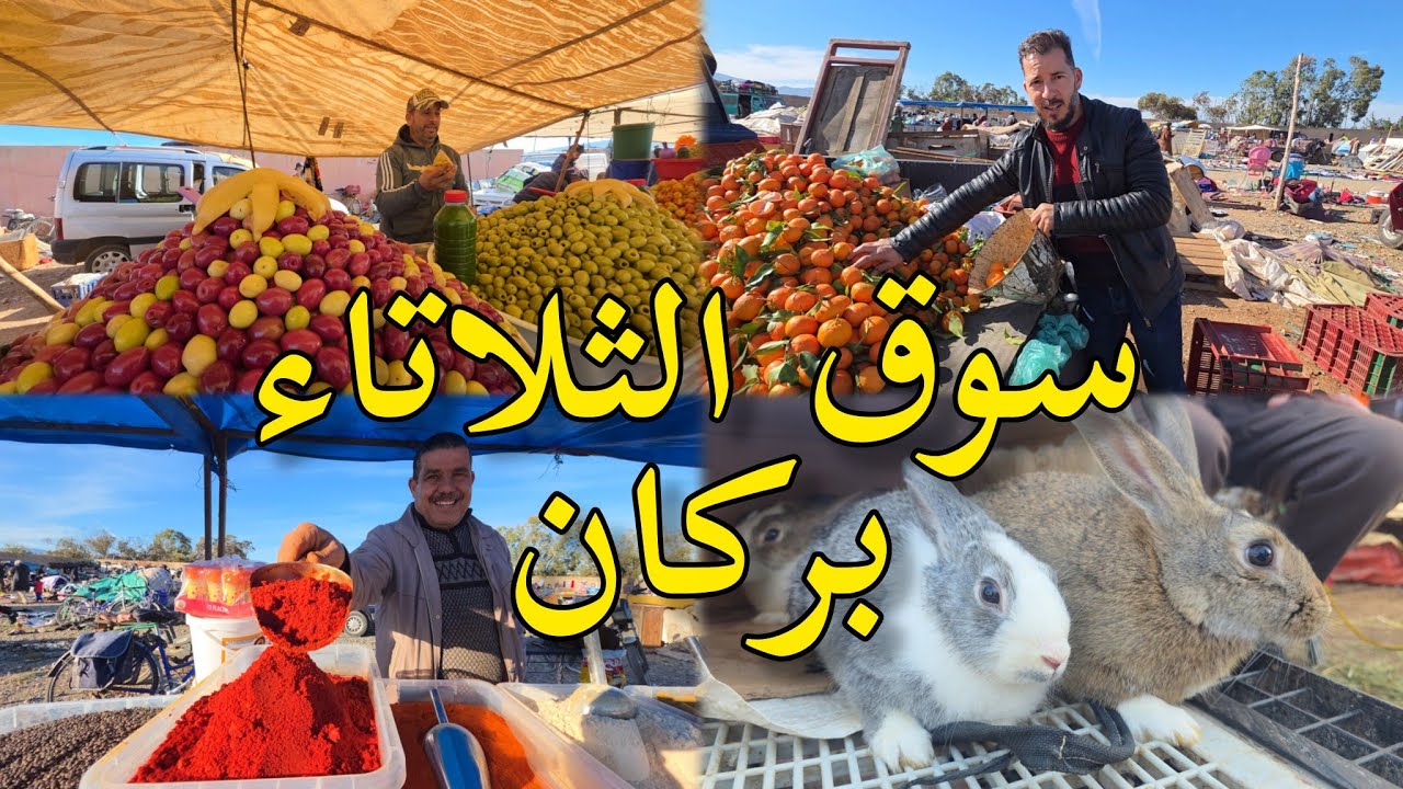 🔥جولة ممتعة في #سوق الأسبوعي الثلاتاء #بركان 🔥 خيرات بلادي اجواء رائعة🍊 souk berkane maroc