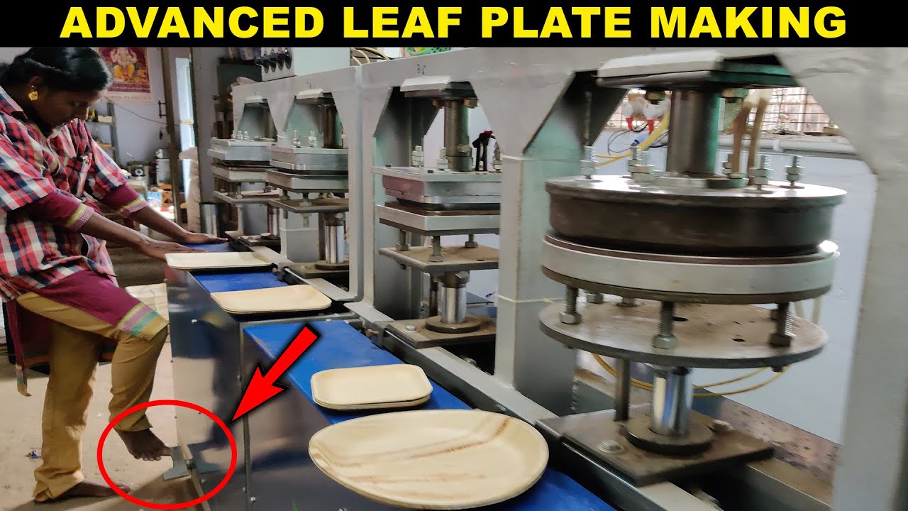 HOW? Areca Leaf Plates Making | Disposable and Bio-Degradable | Factory Explorer