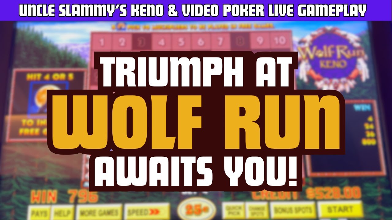 Triumph at Wolf Run: BIG Win! 🎰